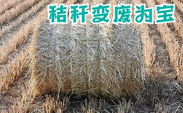 有5點(diǎn)秸稈處理措施活躍在市場上