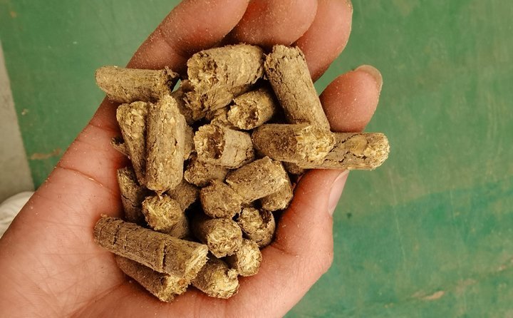 秸稈飼料顆粒機提高秸稈利用率，飼料顆粒機是以玉米、豆粕、秸稈、草、稻殼等為原料，通過粉碎原料后直接壓制成顆粒的飼料加工機械。