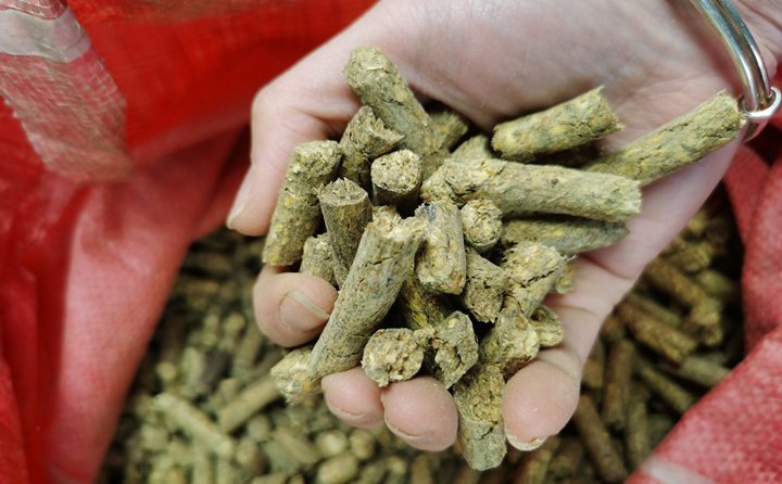 秸稈顆粒機(jī)就是將粉碎后的秸稈制成顆粒飼料，用于飼喂牛羊